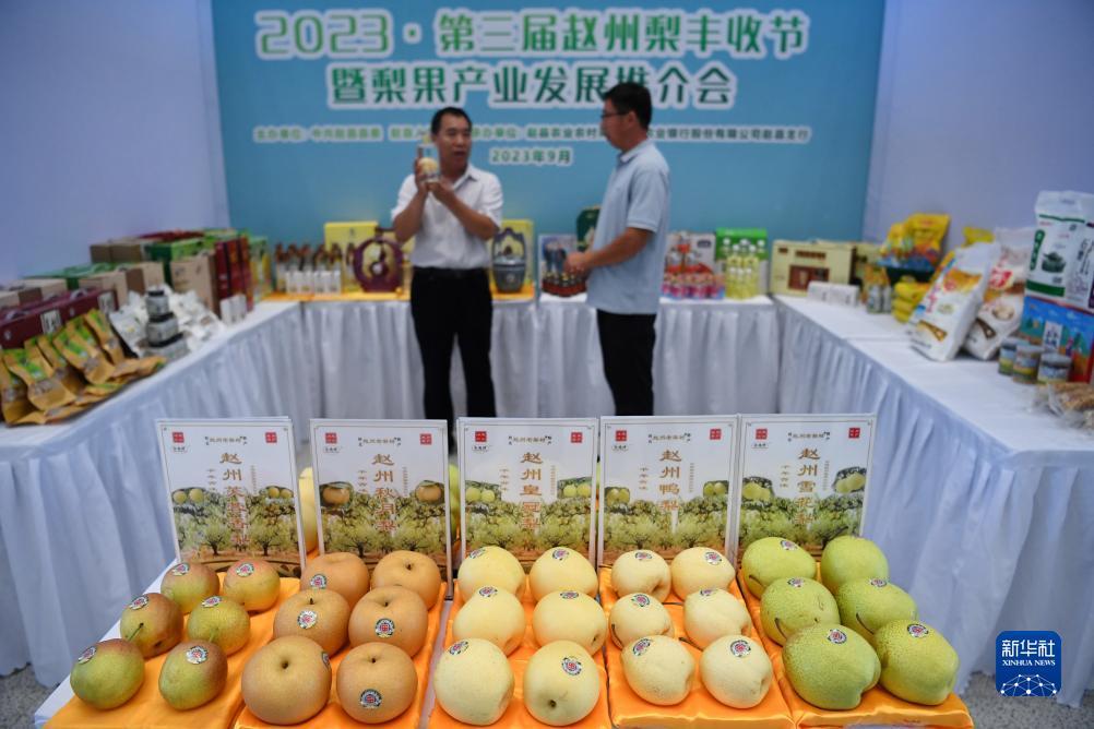 澳门门户网站