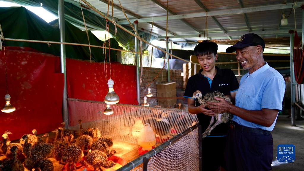捕鱼大作战官方正版下载